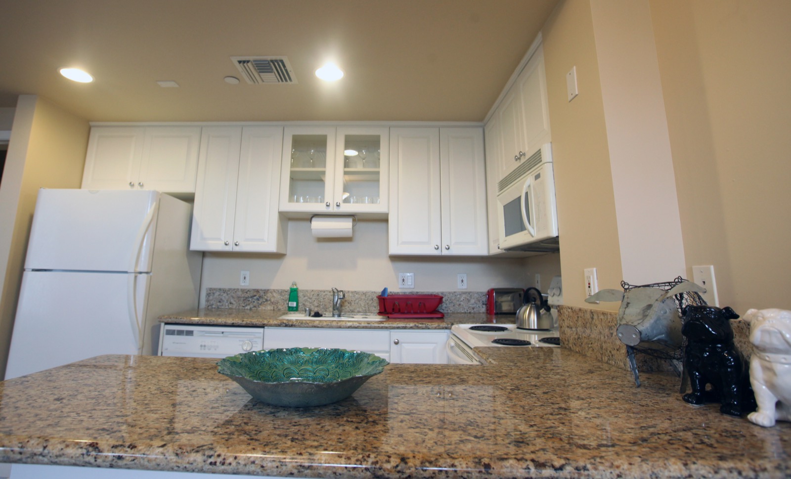 Unit 520 Kitchen